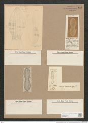Navicula chersonensis Grun. (de-Toni-Nr.: Genus 1, Species 266) Zeichnungen Sammlung Grunow Nr. 615 (NHMW-BOT-W0366977)